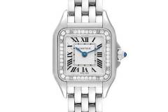 cartier-panthere-steel-diamond-bezel-ladies-watch-w4pn0007-box-card-70375_ea439_sm