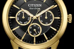 Citizen-Watches-9