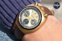 citizen-bullhead-gold-1