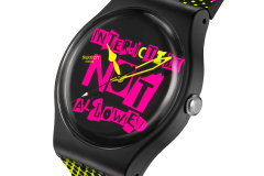 Vintage-Modern-Swatch-Pictures-10