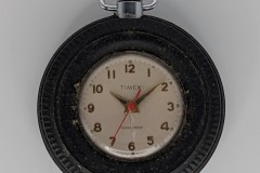 1917-2464-tirenodate-sweeplume-head